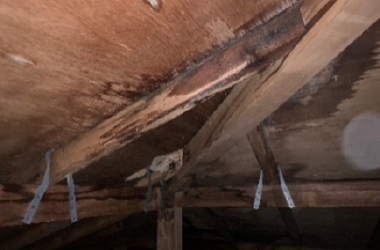 屋根 下板の腐食事例